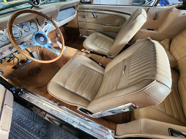GT350 (12)